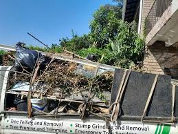 Best Residential Junk Removal in Beach Park, IL